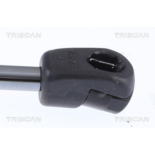 Gasfeder, Koffer-/Laderaum TRISCAN 8710 292059 f&uuml;r AUDI, hinten links