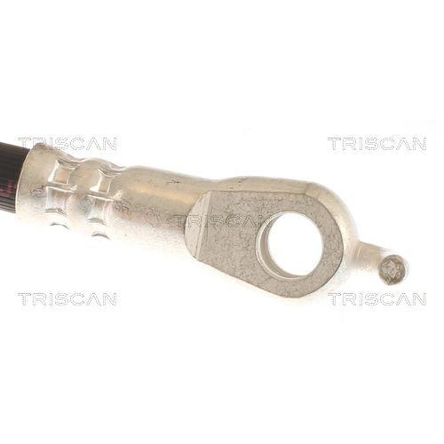 Bremsschlauch TRISCAN 8150 13258 f&uuml;r TOYOTA LEXUS, Hinterachse