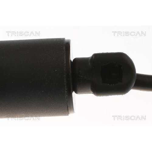 Gasfeder, Koffer-/Laderaum TRISCAN 8710 20301 f&uuml;r PORSCHE