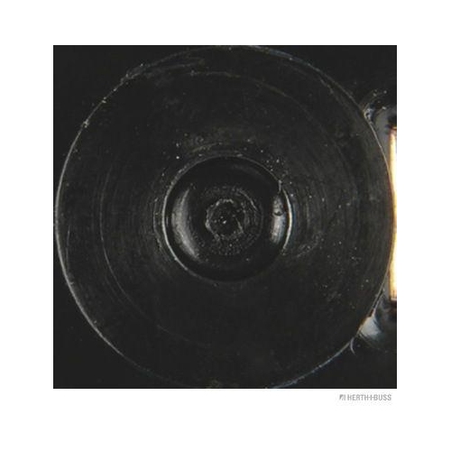 Kennzeichenleuchte HERTH+BUSS ELPARTS 84750058 für