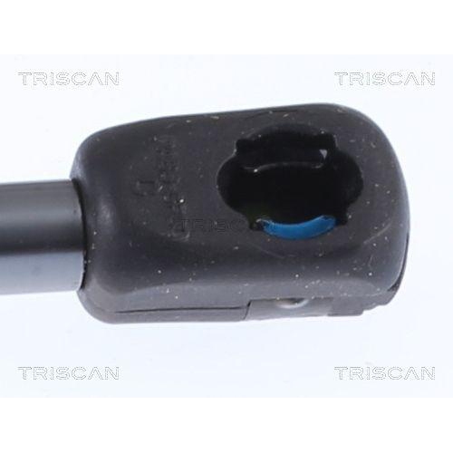 Gasfeder, Koffer-/Laderaum TRISCAN 8710 292062 für SEAT CUPRA, hinten links