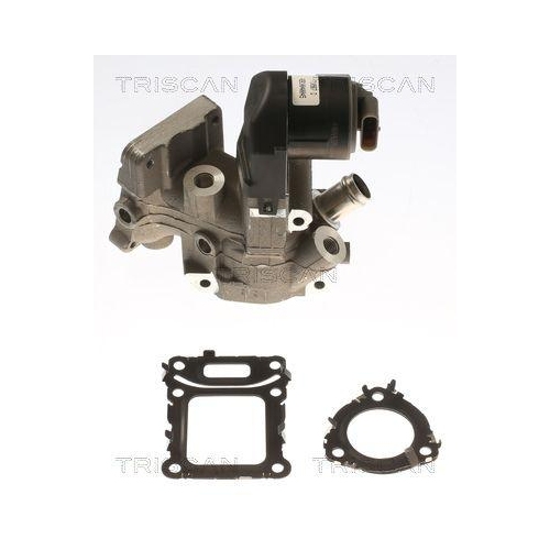 AGR-Ventil TRISCAN 8813 23043 für MERCEDES-BENZ