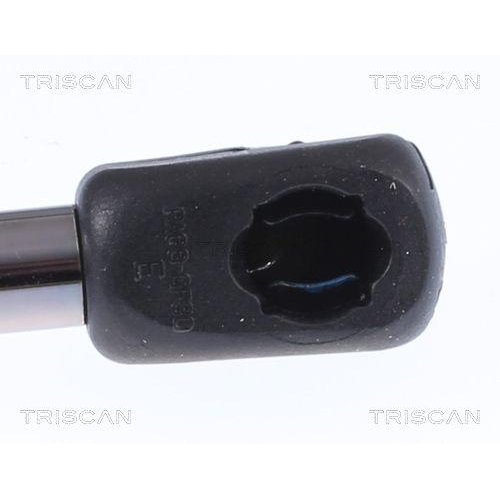 Gasfeder, Koffer-/Laderaum TRISCAN 8710 292063 f&uuml;r SEAT VW, hinten links