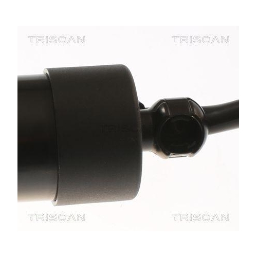 Gasfeder, Koffer-/Laderaum TRISCAN 8710 29301 f&uuml;r VW