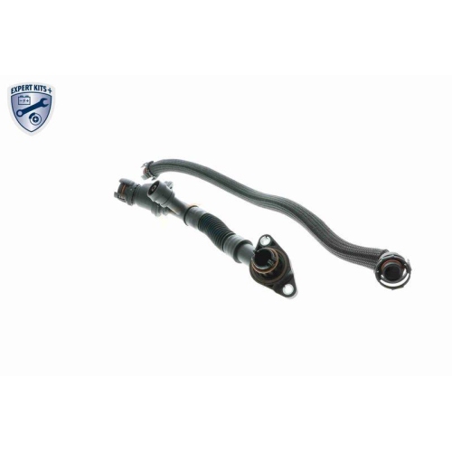 K&uuml;hlerschlauch VAICO V20-3291 EXPERT KITS + f&uuml;r BMW, oben