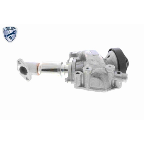 AGR-Ventil VEMO V30-63-0010 EXPERT KITS + f&uuml;r MERCEDES-BENZ