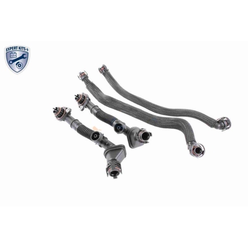 Reparatursatz, Kurbelgeh&auml;useentl&uuml;ftung VAICO V20-3292 EXPERT KITS + f&uuml;r BMW