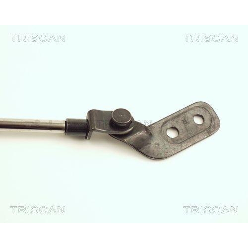 Gasfeder, Koffer-/Laderaum TRISCAN 8710 18206 f&uuml;r KIA, rechts