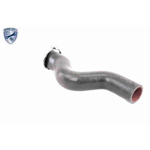 Ladeluftschlauch VAICO V38-0488 EXPERT KITS + f&uuml;r OPEL, Abgasturbolader, rechts
