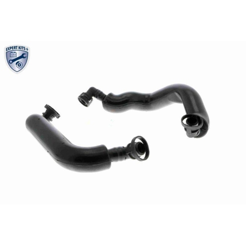 Reparatursatz, Kurbelgehäuseentlüftung VAICO V20-3356 EXPERT KITS + für BMW