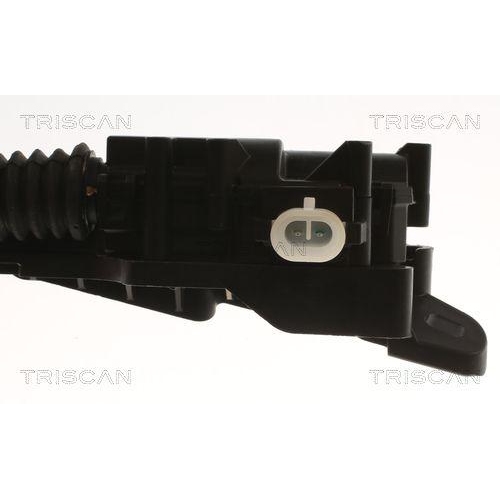 Motorhaubenzug TRISCAN 8140 81600 für TESLA