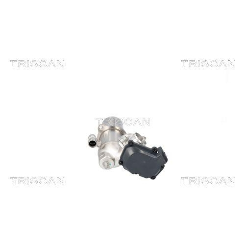AGR-Ventil TRISCAN 8813 29117 für AUDI