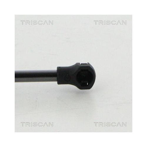 Gasfeder, Motorhaube TRISCAN 8710 25111 f&uuml;r RENAULT, vorne links, vorne rechts