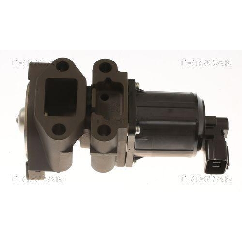 AGR-Ventil TRISCAN 8813 43055 f&uuml;r MITSUBISHI