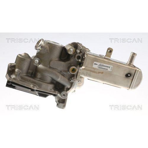 AGR-Ventil TRISCAN 8813 69102 für SUZUKI