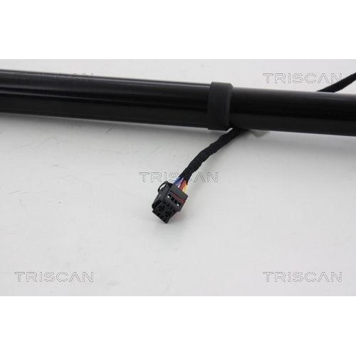 Gasfeder, Koffer-/Laderaum TRISCAN 8710 292193 f&uuml;r SEAT