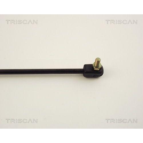 Gasfeder, Koffer-/Laderaum TRISCAN 8710 14206 für NISSAN