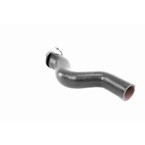 Ladeluftschlauch VAICO V46-1034 Q+, Erstausr&uuml;sterqualit&auml;t f&uuml;r FORD RENAULT