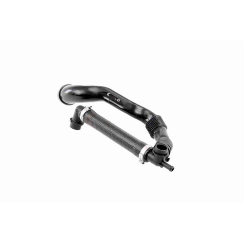 Schlauch, Zylinderkopfhaubenentl&uuml;ftung VAICO V10-0774 Original VAICO Qualit&auml;t VW