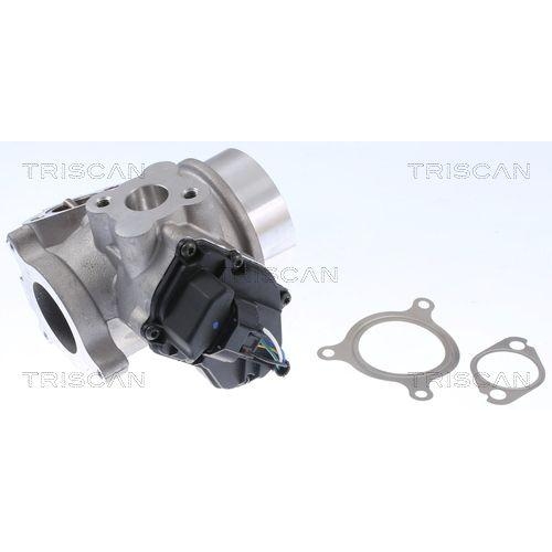 AGR-Ventil TRISCAN 8813 25200 f&uuml;r RENAULT