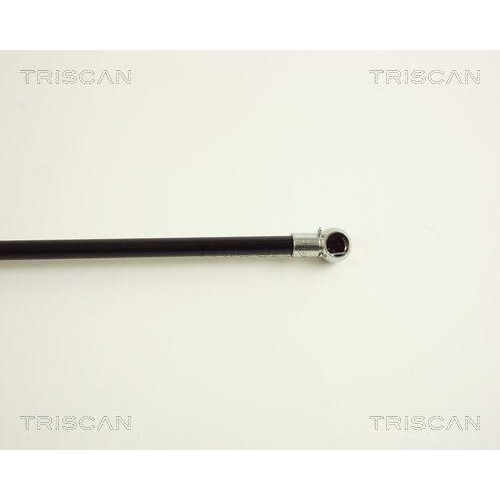 Gasfeder, Koffer-/Laderaum TRISCAN 8710 29234 f&uuml;r AUDI