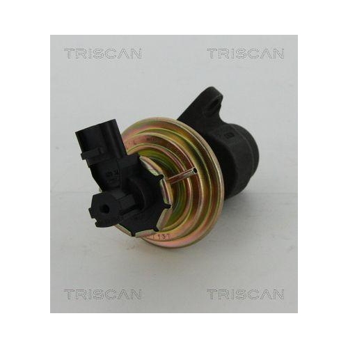 AGR-Ventil TRISCAN 8813 16030 f&uuml;r FORD