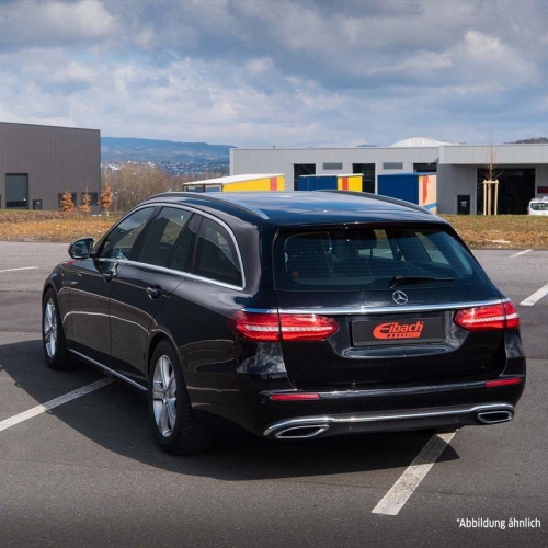 Fahrwerkssatz, Federn EIBACH E10-25-040-04-20 Pro-Kit f&uuml;r, Hinterachse