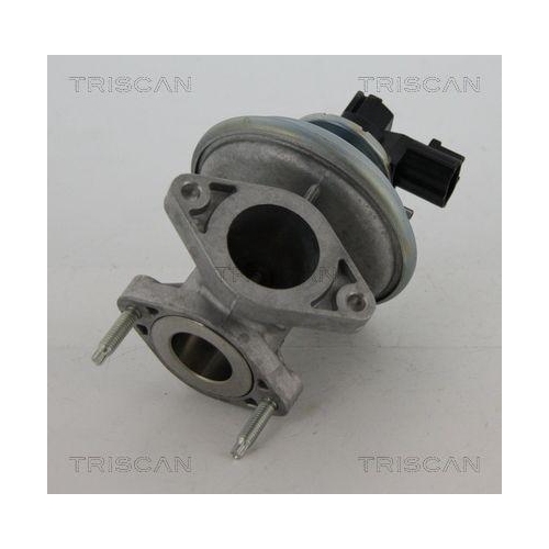 AGR-Ventil TRISCAN 8813 16045 f&uuml;r FORD