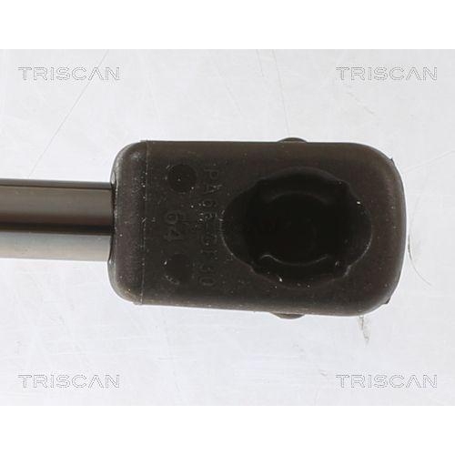Gasfeder, Motorhaube TRISCAN 8710 29155 für SKODA, vorne links, vorne rechts