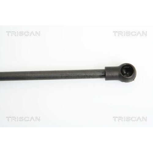 Gasfeder, Koffer-/Laderaum TRISCAN 8710 14244 für FIAT NISSAN