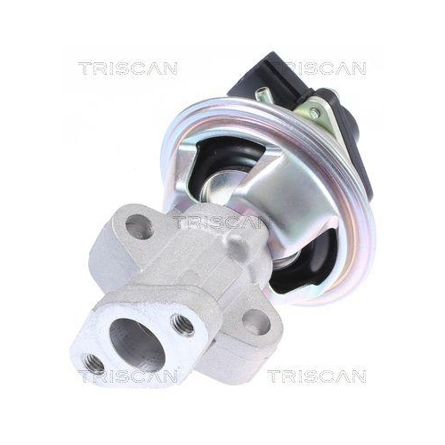 AGR-Ventil TRISCAN 8813 16069 f&uuml;r FORD FORD USA