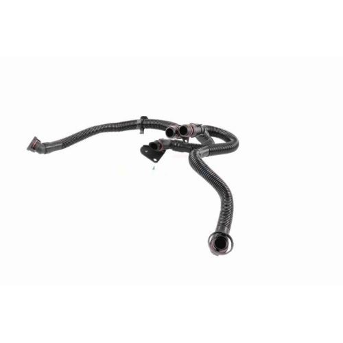 Schlauch, Kurbelgeh&auml;useentl&uuml;ftung VAICO V10-5458 Original VAICO Qualit&auml;t f&uuml;r VW