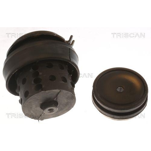 Lagerung, Motor TRISCAN 8505 29118 f&uuml;r SEAT VW, links, rechts, vorne