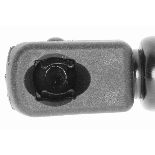 Gasfeder, Koffer-/Laderaum VAICO V24-0205 Original VAICO Qualit&auml;t f&uuml;r FIAT