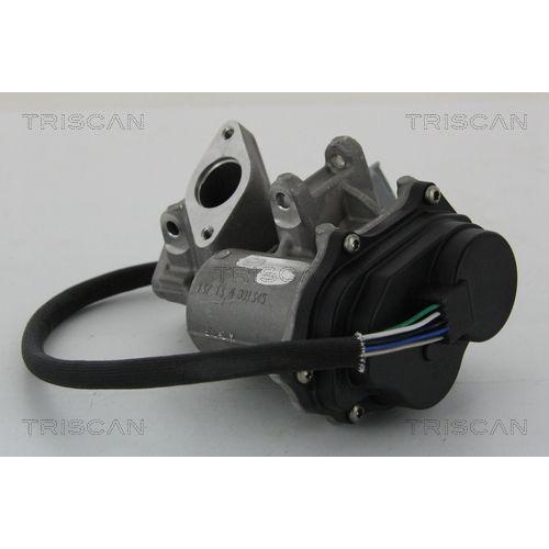 AGR-Ventil TRISCAN 8813 17019 f&uuml;r FORD LAND ROVER, links