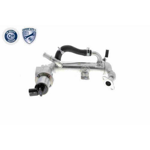 ACKOJA A52-63-0018 AGR-Modul EXPERT KITS + f&uuml;r HYUNDAI KIA