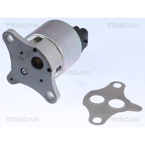 AGR-Ventil TRISCAN 8813 21001 f&uuml;r CHEVROLET DAEWOO GENERAL MOTORS