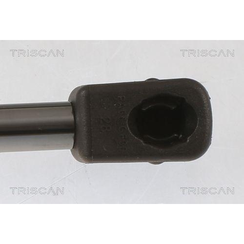 Gasfeder, Koffer-/Laderaum TRISCAN 8710 40245 f&uuml;r HONDA, hinten links