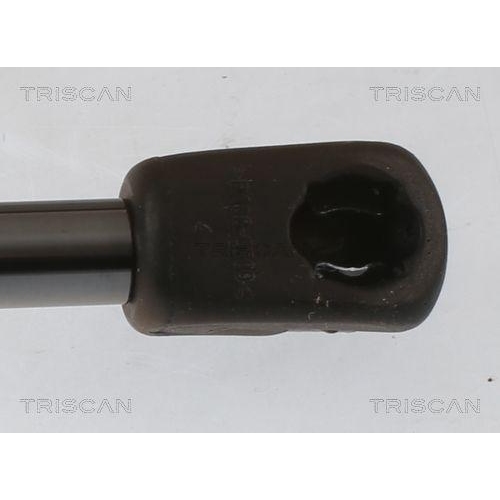 Gasfeder, Koffer-/Laderaum TRISCAN 8710 40246 für HONDA, hinten links