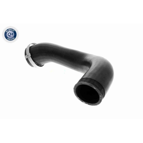 Ladeluftschlauch VAICO V10-4816 Q+, Erstausr&uuml;sterqualit&auml;t f&uuml;r AUDI SEAT SKODA VW