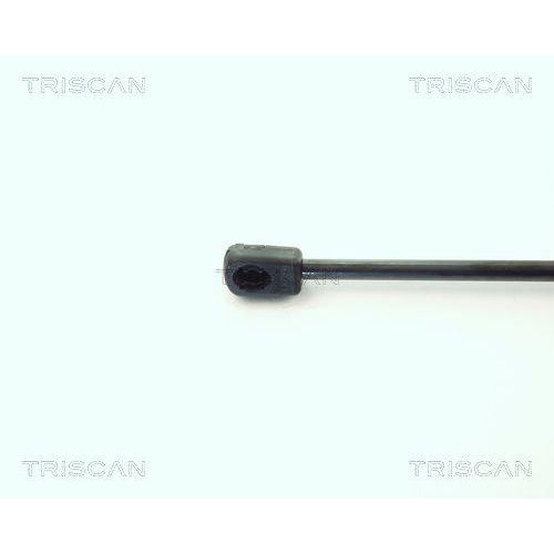 Gasfeder, Koffer-/Laderaum TRISCAN 8710 1619 f&uuml;r FORD