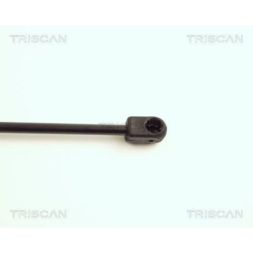 Gasfeder, Koffer-/Laderaum TRISCAN 8710 16201 f&uuml;r