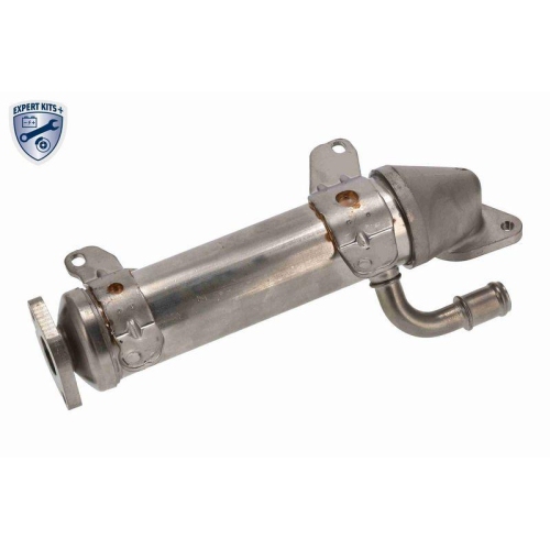 Kühler, Abgasrückführung VEMO V10-63-0115 EXPERT KITS + für SEAT VW