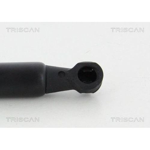 Gasfeder, Koffer-/Laderaum TRISCAN 8710 50253 für MAZDA, hinten links
