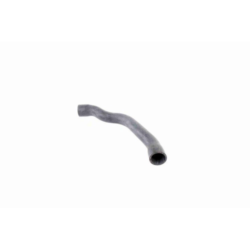 K&uuml;hlerschlauch VAICO V30-2099 Q+, Erstausr&uuml;sterqualit&auml;t f&uuml;r MERCEDES-BENZ, oben