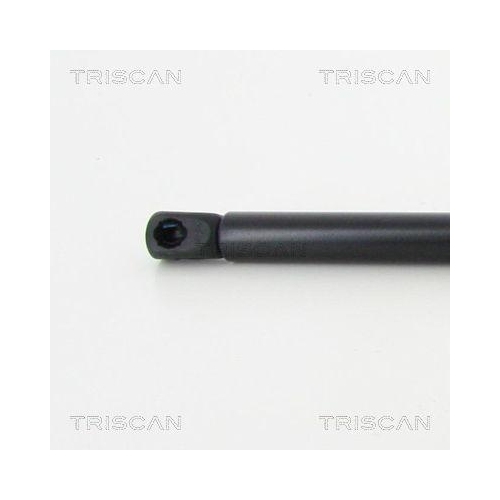 Gasfeder, Koffer-/Laderaum TRISCAN 8710 50255 f&uuml;r MAZDA