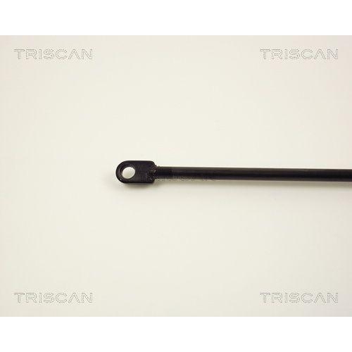 Gasfeder, Koffer-/Laderaum TRISCAN 8710 2914 f&uuml;r VW, rechts