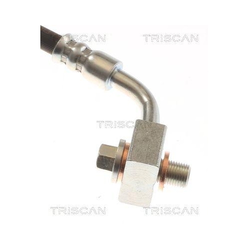 Bremsschlauch TRISCAN 8150 81206 f&uuml;r TESLA, Hinterachse links
