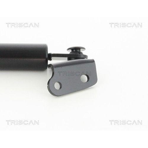 Gasfeder, Koffer-/Laderaum TRISCAN 8710 50256 für MAZDA, hinten links