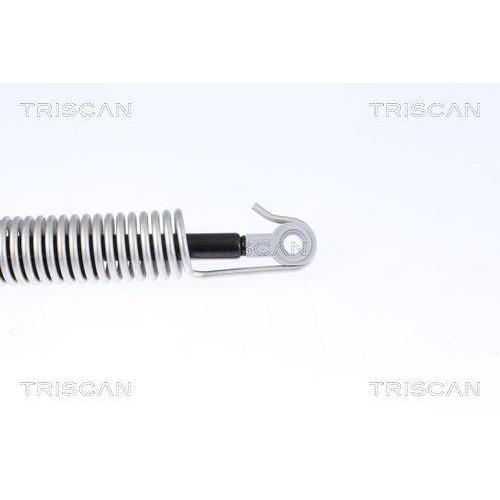 Gasfeder, Koffer-/Laderaum TRISCAN 8710 112014 für BMW, hinten rechts